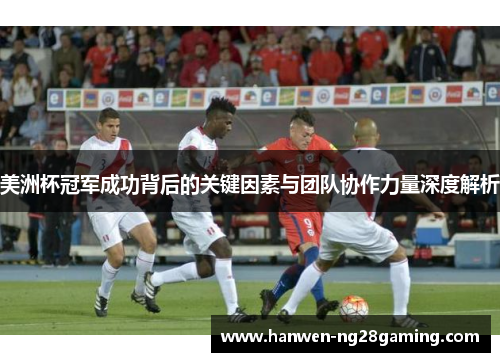 美洲杯冠军成功背后的关键因素与团队协作力量深度解析