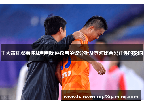 王大雷红牌事件裁判判罚评议与争议分析及其对比赛公正性的影响